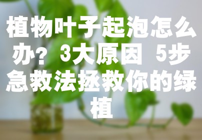 植物叶子起泡怎么办？3大原因+5步急救法拯救你的绿植