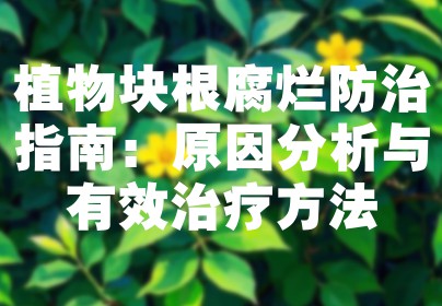 植物块根腐烂防治指南：原因分析与有效治疗方法