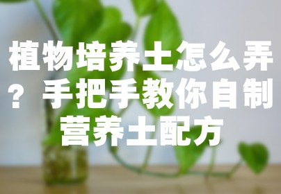 植物培养土怎么弄？手把手教你自制营养土配方