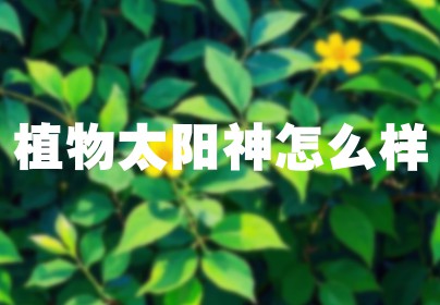 植物太阳神怎么样