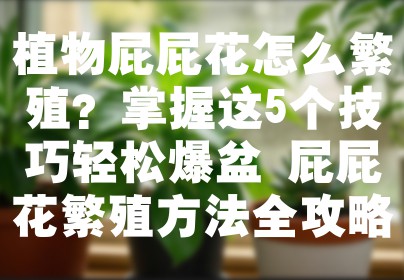 植物屁屁花怎么繁殖？掌握这5个技巧轻松爆盆 屁屁花繁殖方法全攻略