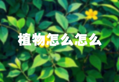 植物怎么怎么
