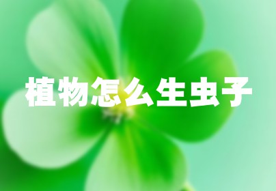 植物怎么生虫子