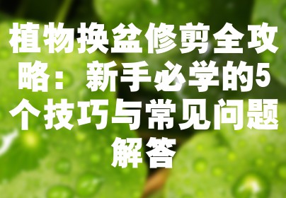 植物换盆修剪全攻略：新手必学的5个技巧与常见问题解答