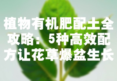 植物有机肥配土全攻略：5种高效配方让花草爆盆生长