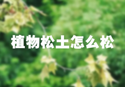 植物松土怎么松