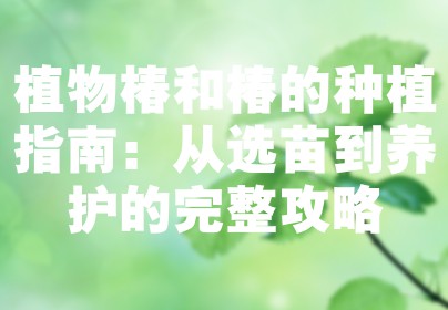 植物椿和椿的种植指南：从选苗到养护的完整攻略
