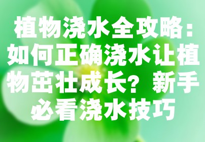 植物浇水全攻略：如何正确浇水让植物茁壮成长？新手必看浇水技巧