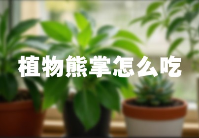 植物熊掌怎么吃