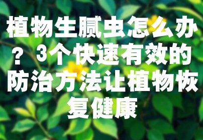植物生腻虫怎么办？3个快速有效的防治方法让植物恢复健康
