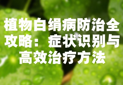 植物白绢病防治全攻略：症状识别与高效治疗方法