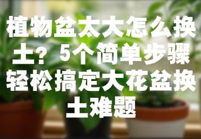 植物盆太大怎么换土？5个简单步骤轻松搞定大花盆换土难题