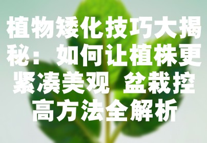 植物矮化技巧大揭秘：如何让植株更紧凑美观 盆栽控高方法全解析