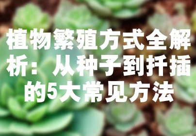 植物繁殖方式全解析：从种子到扦插的5大常见方法