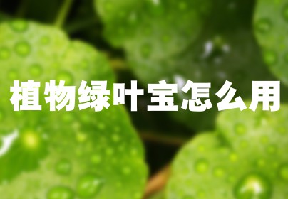 植物绿叶宝怎么用