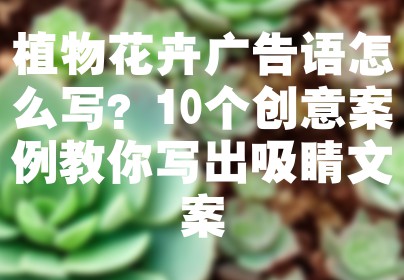 植物花卉广告语怎么写？10个创意案例教你写出吸睛文案