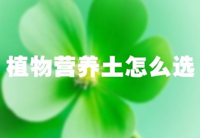 植物营养土怎么选