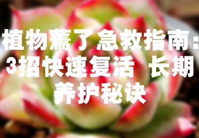 植物蔫了急救指南：3招快速复活+长期养护秘诀