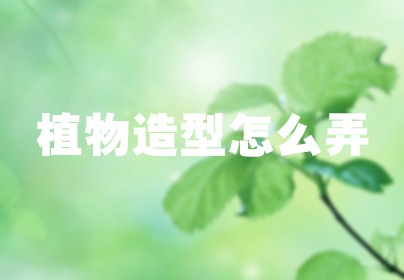 植物造型怎么弄