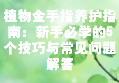 植物金手指养护指南：新手必学的5个技巧与常见问题解答