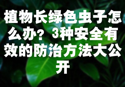 植物长绿色虫子怎么办？3种安全有效的防治方法大公开