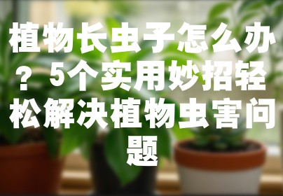 植物长虫子怎么办？5个实用妙招轻松解决植物虫害问题