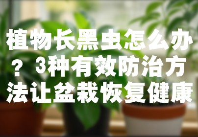 植物长黑虫怎么办？3种有效防治方法让盆栽恢复健康