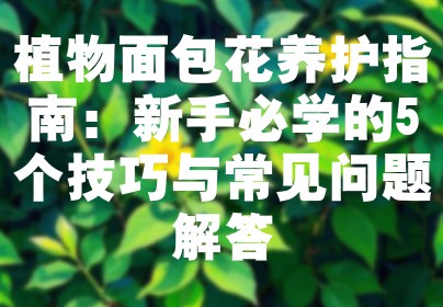 植物面包花养护指南：新手必学的5个技巧与常见问题解答