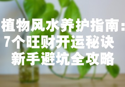植物风水养护指南：7个旺财开运秘诀+新手避坑全攻略