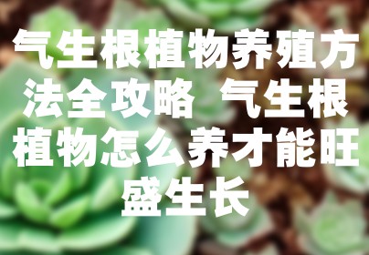 气生根植物养殖方法全攻略 气生根植物怎么养才能旺盛生长