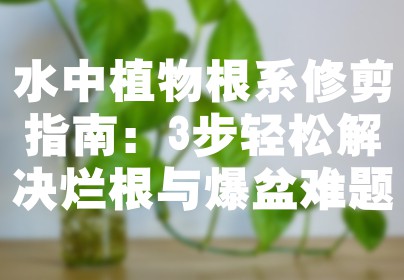 水中植物根系修剪指南：3步轻松解决烂根与爆盆难题