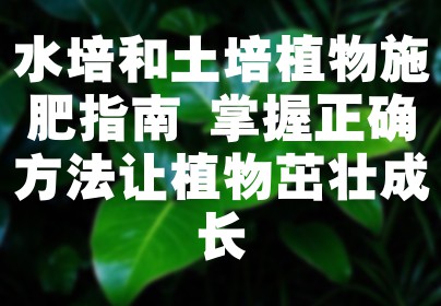 水培和土培植物施肥指南 掌握正确方法让植物茁壮成长