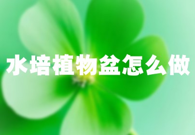 水培植物盆怎么做