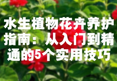 水生植物花卉养护指南：从入门到精通的5个实用技巧