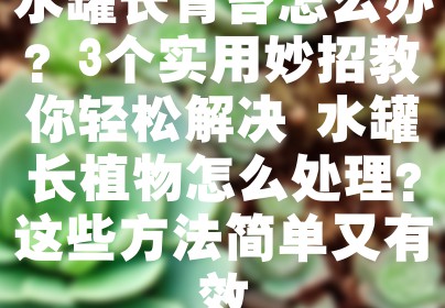 水罐长青苔怎么办？3个实用妙招教你轻松解决 水罐长植物怎么处理？这些方法简单又有效