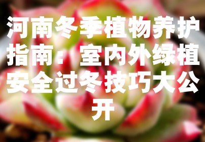 河南冬季植物养护指南：室内外绿植安全过冬技巧大公开