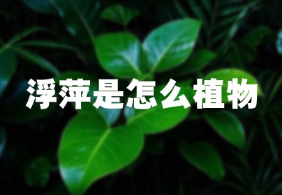 浮萍是怎么植物