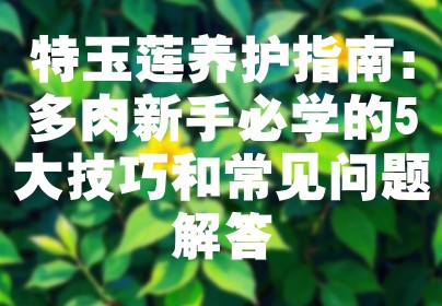 特玉莲养护指南：多肉新手必学的5大技巧和常见问题解答