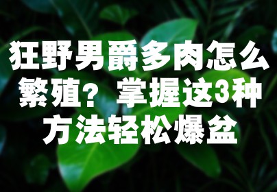 狂野男爵多肉怎么繁殖？掌握这3种方法轻松爆盆
