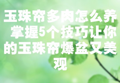 玉珠帘多肉怎么养 掌握5个技巧让你的玉珠帘爆盆又美观