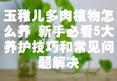 玉稚儿多肉植物怎么养 新手必看5大养护技巧和常见问题解决