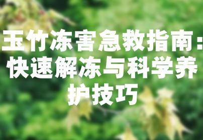 玉竹冻害急救指南：快速解冻与科学养护技巧