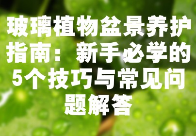 玻璃植物盆景养护指南：新手必学的5个技巧与常见问题解答