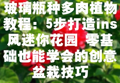 玻璃瓶种多肉植物教程：5步打造ins风迷你花园 零基础也能学会的创意盆栽技巧