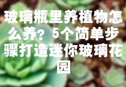 玻璃瓶里养植物怎么养？5个简单步骤打造迷你玻璃花园