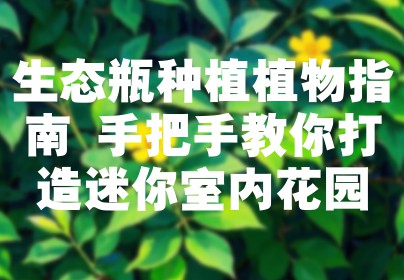 生态瓶种植植物指南 手把手教你打造迷你室内花园