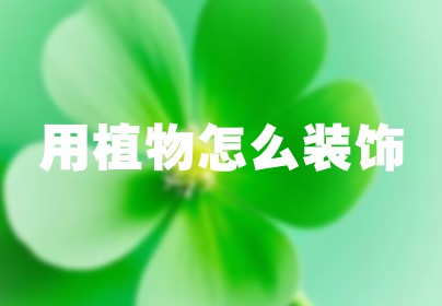 用植物怎么装饰