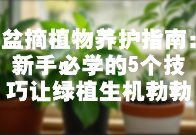 盆摘植物养护指南：新手必学的5个技巧让绿植生机勃勃