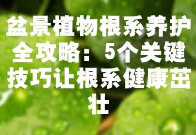 盆景植物根系养护全攻略：5个关键技巧让根系健康茁壮