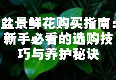 盆景鲜花购买指南：新手必看的选购技巧与养护秘诀
